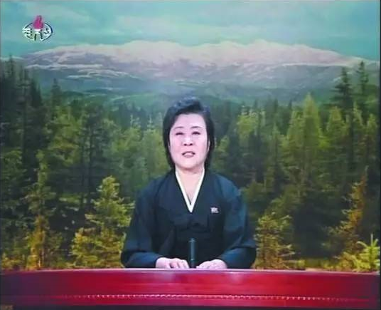 怎样才能当上朝鲜的央视女主播？