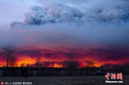 加拿大林火面积超1500平方公里 未来或扩大一倍