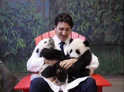 加拿大火灾几乎烧掉一个上海 总理在日本赚粉丝
