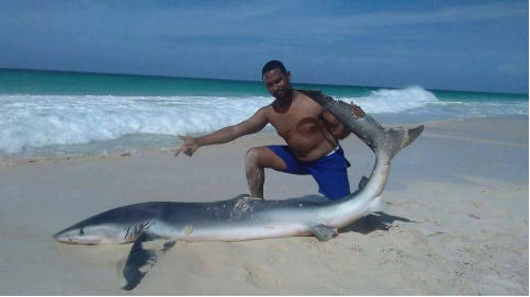 酒店保安和游客强拖鲨鱼上岸自拍 致其死亡，丧心病狂啊！