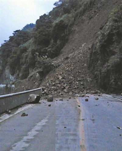 山体垮塌前1分钟，司机判断“没风树在摇”紧急倒车救了42人！