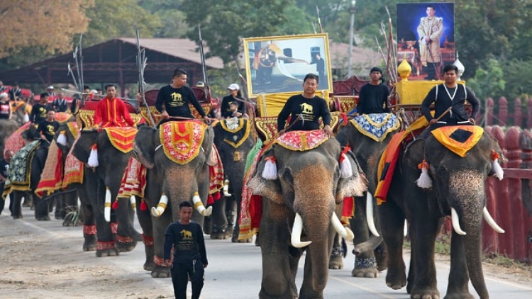 泰国大象日