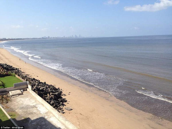 孟买海滩5000吨垃圾被清理 金色沙滩重现