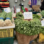蔬菜价格