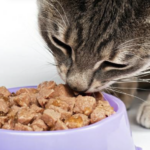 猫粮宠物食品