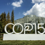 COP15会议