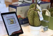 泰榴莲对华出口稳增!前4个月22万多吨